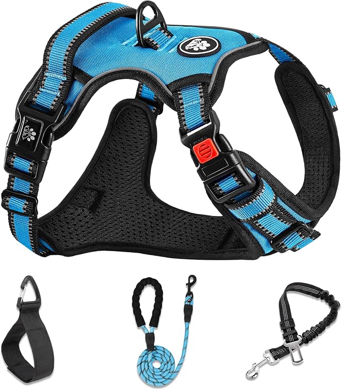 NESTROAD No Pull Dog Harness,Adjustable Oxford Dog Vest Harness with Leash,Reflective No-Choke Pet Harness with Easy Control Soft Handle for Small Dogs(X-Small,Blue) by NESTROAD