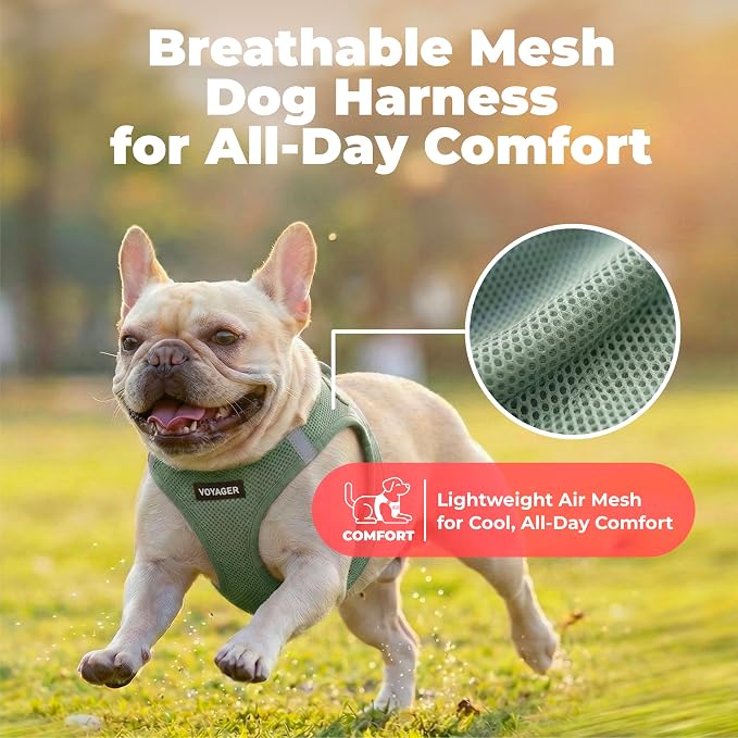Voyager Step-in Air Dog Vest Harness - Moss Green, Small | 14.5-16" in Chest, Reflective Bands, All Weather Breathable Air Mesh, Cats Compatible, Lightweight, Fast Drying - Image 5