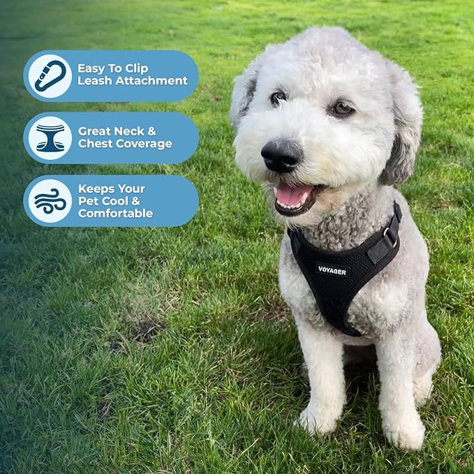 Voyager Step-in Lock Dog Harness - Black, X-Small | 13 - 16" in Chest, Adjustable, Breathable Air Mesh, Lightweight for Daily Walks, Strong Clips, Heavy Duty D-Ring - Image 3