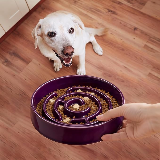 Ceramic Slow Feeder Dog Bowl,1.5 Cups Pet Slow Feeder for Small and Medium Breed,Puzzle Dog Food Dish,Anti-Gulping,Stop Bloat,Preventing Choking(Purple) - Image 3