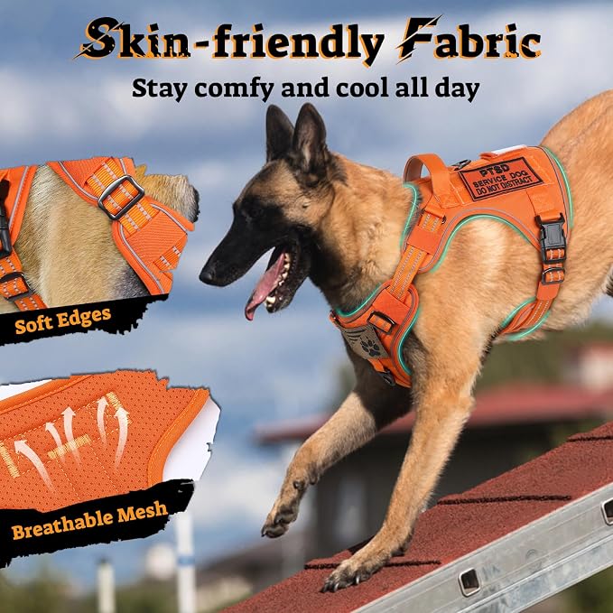 rabbitgoo Tactical Dog Harness for Small Dogs, No Pull Service Pet Vest | Military Molle System & Easy Control Handle, Adjustable and Reflective for Walking and Training, Orange, Small - Image 6