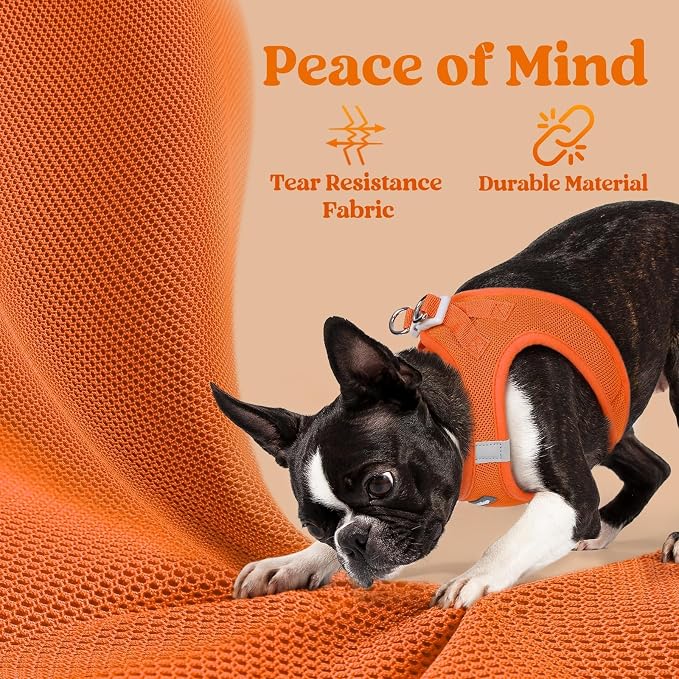 rabbitgoo Step-in Small Dog Harness, Puppy Vest for Small Medium Sized Pet | Easy Put on and off, Lightweight, Soft, Breathable Quick-Dry Air Mesh for Comfortable Secure Walking, Orange L - Image 7