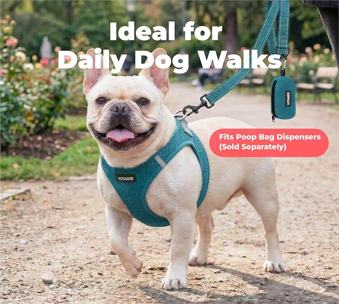 Best Pet Supplies Voyager Nylon Dog Leash - Turquoise, Medium | 5ft in Length, 3/4" in Width, Reflective, Soft Neoprene Handle, Heavy Duty Metal Clips for Running, Walking & Training - Image 3
