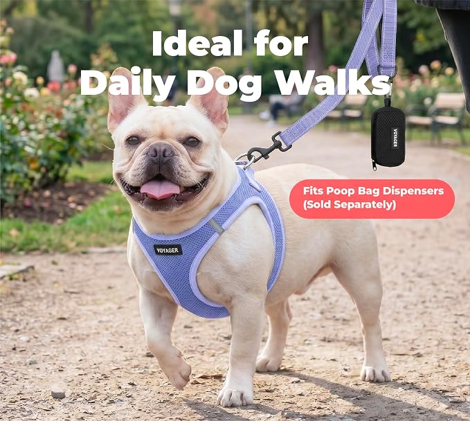 Best Pet Supplies Voyager Nylon Dog Leash - Lavender, Medium | 5ft in Length, 3/4" in Width, Reflective, Soft Neoprene Handle, Heavy Duty Metal Clips for Running, Walking & Training - Image 3