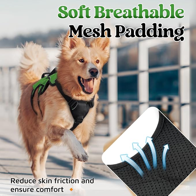 rabbitgoo Escape Proof Dog Harness for X-Large, No Pull with Lift Handle | No Escape, Full Soft Padded, Reflective Adjustable Vest, Leash Clip for Walking Hiking Training, Green, X-Large - Image 6