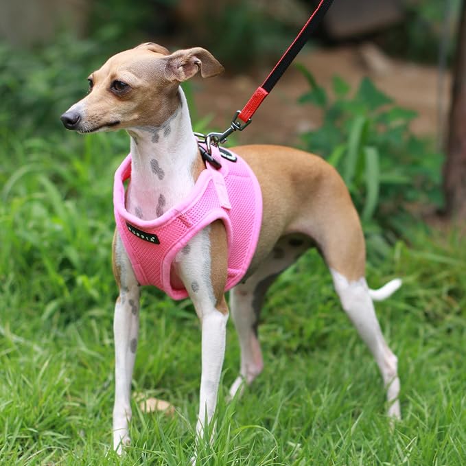 PUPPIA International Puppia Harness Soft B Vest Pink, Small - Image 4