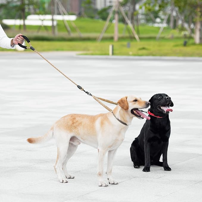 Double Dog Leash, 360° Swivel, No Tangle, Large, 25-150 lbs, Khaki | Dual Leash for Two Dogs, Split Leash, Shock-Absorbing Bungee, Padded Handle, Heavy-Duty Rope - Image 6