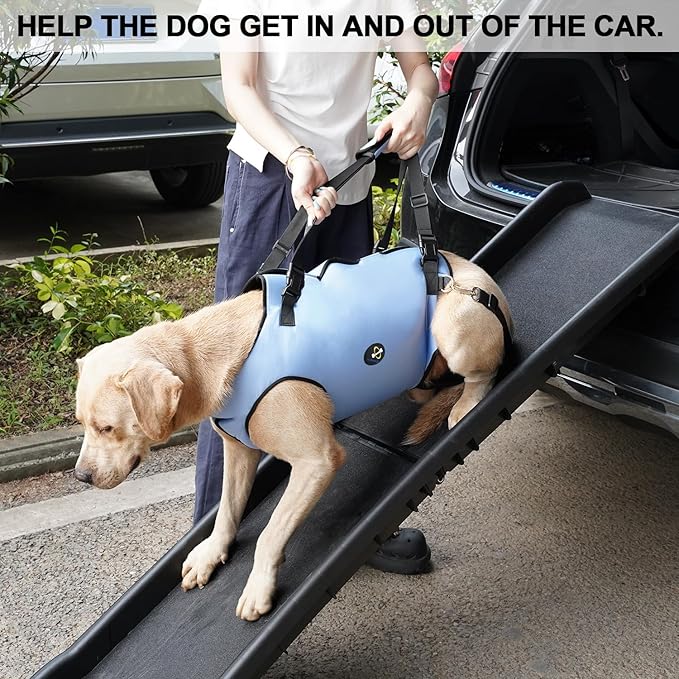 Coodeo Dog Lift Harness, Pet Support & Rehabilitation Sling Lift Adjustable Padded Breathable Straps for Old, Disabled, Joint Injuries, Arthritis, Loss of Stability Dogs Walk (Blue, M) - Image 5