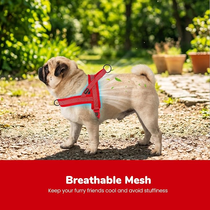No Pull Dog Harness for Medium Dogs, Breathable Mesh Padded, Red, M | Quick Fit, Easy On and Off, Adjustable, Reflective Vest Harness for Night Safty, Easy for Walking and Training, Chest 21-26" - Image 2