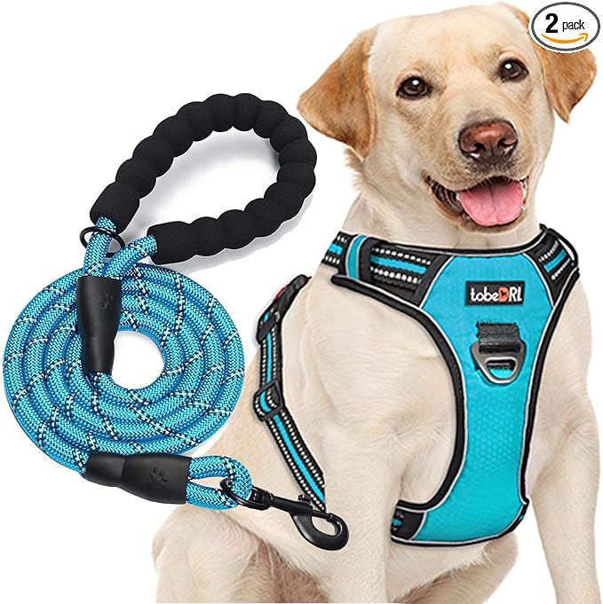 tobeDRI No Pull Dog Harness Adjustable Reflective Oxford Easy Control Medium Large Dog Harness with A Free Heavy Duty 5ft Dog Leash, Blue, L by tobeDRI