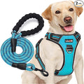 tobeDRI No Pull Dog Harness Adjustable Reflective Oxford Easy Control Medium Large Dog Harness with A Free Heavy Duty 5ft Dog Leash, Blue, M by tobeDRI