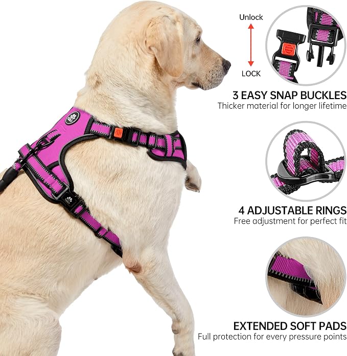 NESTROAD No Pull Dog Harness,Adjustable Oxford Dog Vest Harness with Leash,Reflective No-Choke Pet Harness with Easy Control Soft Handle for Small Medium Dogs(Medium,Fuchsia Pink) - Image 4