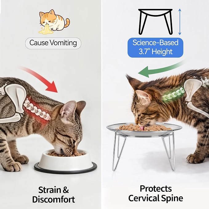 WROSWT Elevated Cat Bowls, 304 Stainless Steel Raised Cat Dishes, Extra Wide Shallow Cat Bowl for Whisker Fatigue Relief & Flat-Faced Breeds, Anti-Vomiting Kitten Feeder with Detachable Stands, 2 Set - Image 3