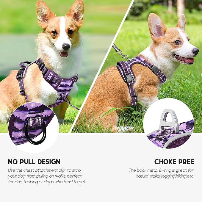 Timos Small Dog Harness, No Pull No Choke, Easy On & Off, Moon Night, XS | Adjustable Reflective Soft Padded, Neck Quick Release with 3 Buckles, Front & Back 2 Clips and Handle for Walking Training - Image 4