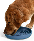 Should We Go? Slow Feeder Dog Bowls - Large Size Silicone Slow Eating Dog Bowl for Puppies & Dogs with Suction Cup -Dishwasher-Safe, Lick Mat Design, Reduces Gulping,for All Breeds,9.5”x1.5”- Ocean by ShouldWeGo