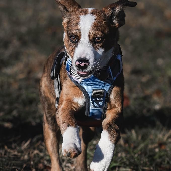 Embark No Pull Dog Harness, Reflective Adjustable Training Vest, No Choke | Adjustable straps fit all dog breeds with sturdy hooks; 360° reflective trim, soft padded Harness Design for All Dogs - Image 8
