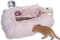 XxingSheep 4-Cave Plush XL Cat Tunnel Bed Indoor Cats Peekaboo Toy Mat Pink | Plush XL Cat Tunnel Bed, 4-Cave Peekaboo Toy, Cozy Donut Mat for All Cats by XxingSheep