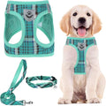PUPTECK Dog Harness, Collar and Leash Set No Pull for Small Medium Sized | Plaid Puppy Step-in Escape Proof Reflective No Choke Pet Cat Adjustable Walking Vest by PUPTECK