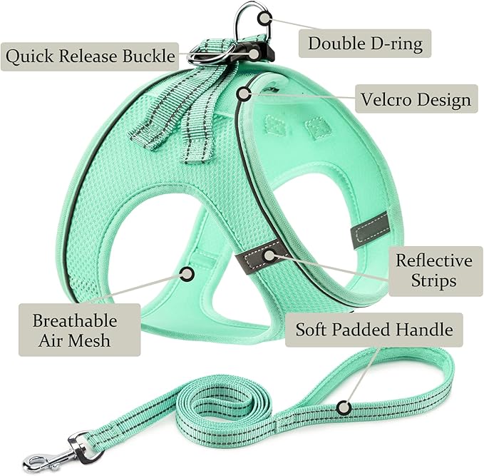 Dog Harness with Leash Set, Step-in Adjustable Puppy Pet Vest, Green XS | Lightweight Breathable Air Mesh, Night Safety Reflective, No Pull Puppy Vest Harnesses for Small Medium Large Dogs, Cats - Image 2