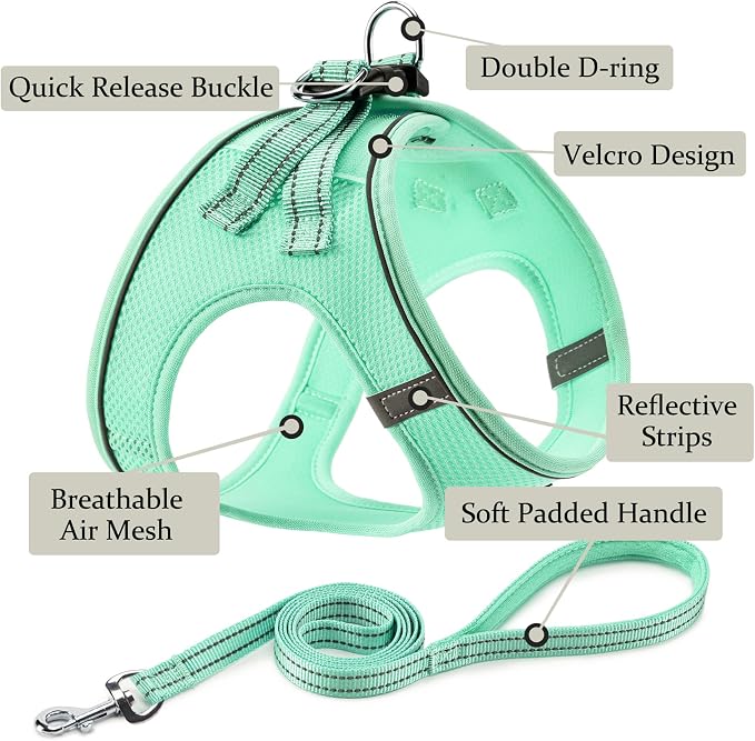 Dog Harness with Leash Set, Step-in Adjustable Puppy Pet Vest, Green S | Lightweight Breathable Air Mesh, Night Safety Reflective, No Pull Puppy Vest Harnesses for Small Medium Large Dogs, Cats - Image 2