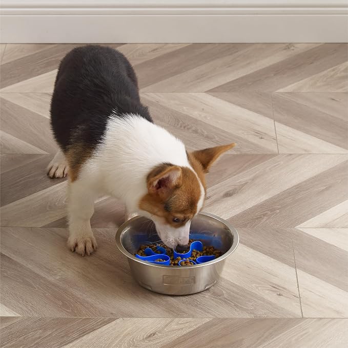 Outward Hound Fun Feeder Stainless Steel Slo Bowl for Dogs, Medium, 8.3" | Slows Fast Eaters, Can Aid Digestion, Holds 2 Cups Dry or Wet Food, Removable Maze, Non-Slip, Fits Raised Feeding Stations - Image 6