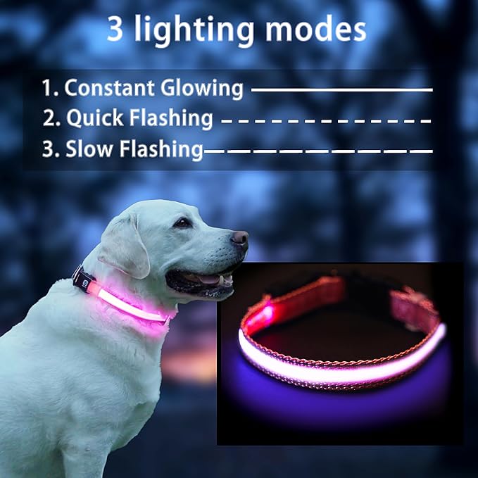 USB Rechargeable LED Dog Collar, Waterproof, Adjustable, Glowing, for Large Dogs, Night Walking, Camping, Jogging, Pink, L (Neck 18-28", Width 1") - Image 2