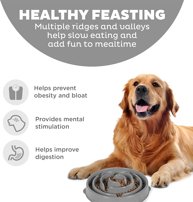 Outward Hound Fun Feeder Slo Bowl Dog Slow Feeder, Drop, Gray, 11.8" | Slows Fast Eaters, Can Aid Digestion, Holds 4 Cups Dry or Wet Food, Non-Slip Base, Easy Clean, No BPA, Medium to Large Dogs - Image 2