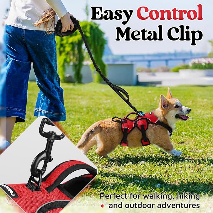 rabbitgoo Escape Proof Dog Harness for Small, No Pull with Lift Handle | No Escape, Full Soft Padded, Reflective Adjustable Vest, Leash Clip for Walking Hiking Training, Red, Small - Image 5