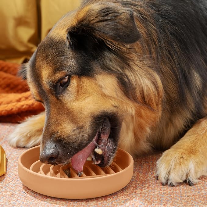 Should We Go? Slow Feeder Dog Bowls - Medium Size Silicone Slow Eating Dog Bowl for Puppies & Dogs with Suction Cup -Dishwasher-Safe,Lick Mat Design,Reduces Gulping,for All Breeds,6”x1.25”-Terracotta - Image 2