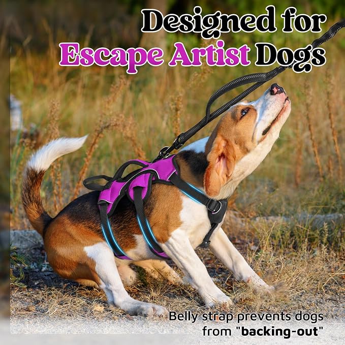 rabbitgoo Escape Proof Dog Harness for Small, No Pull with Lift Handle | No Escape, Full Soft Padded, Reflective Adjustable Vest, Leash Clip for Walking Hiking Training, Purple, Small - Image 2