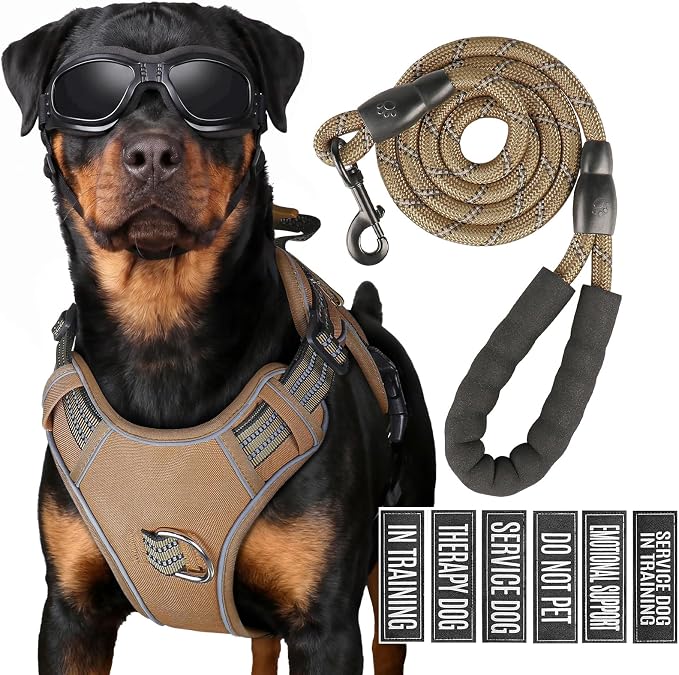 3-in-1 Dog Vest Harness Leash Set for Daily,Service,Training Animal X Large by Unknown