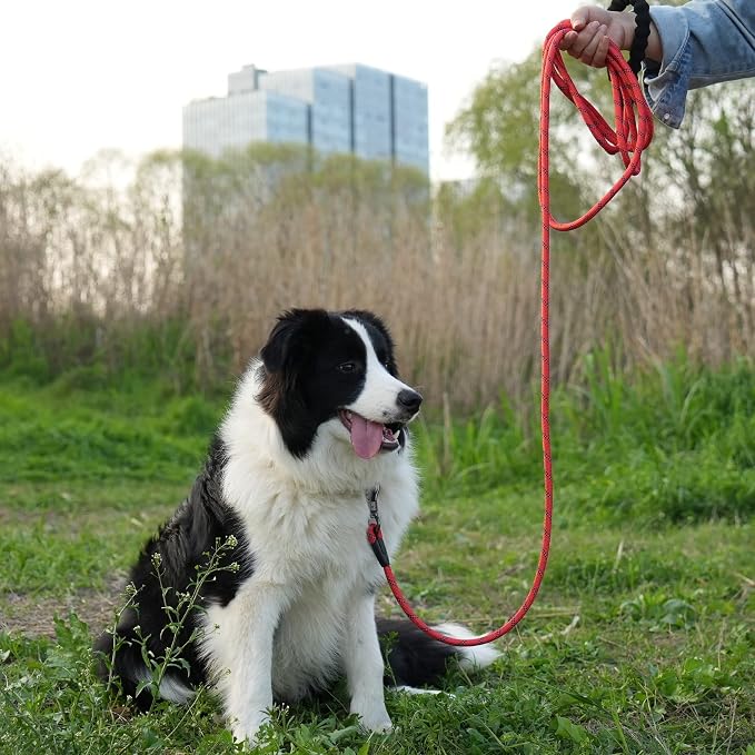 NTR Long Dog Leash, 20FT Reflective Leash with Swivel Lockable Hook and Comfortable Padded Handle, Puppy for Walking, Hunting, Camping, Backyard Small Medium Large Dogs, Red, 20ft*1/3/'' - Image 6