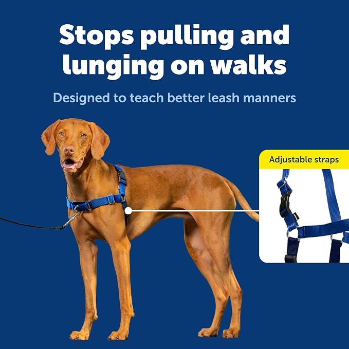 PetSafe Easy Walk Harness, No Pull Dog Harness, Royal Blue, Medium | Patented Martingale Loop Gives Gradual Shoulder Pressure to Stop Pulling, Front-Chest Leash Clip Prevents Gagging - Image 3