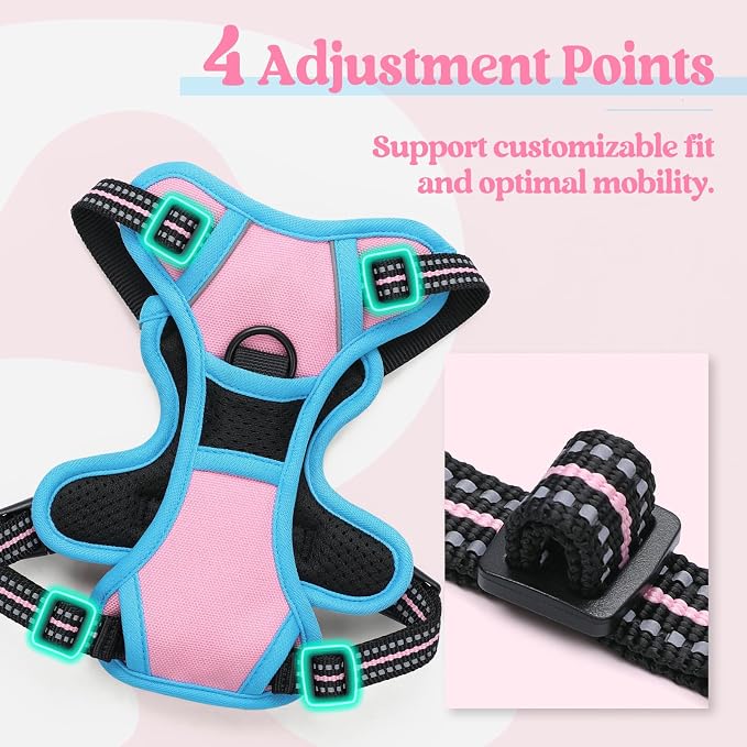 rabbitgoo Dog Harness, No Pull for Small Dogs with 2 Leash Clips, Pet Vest | No Choke with Handle, Adjustable Soft Padded, Reflective, Easy Control for Walking, Pink & Blue, X-Small - Image 4