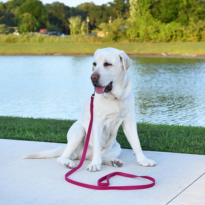 Dogline Biothane Waterproof Dog Leash Strong Coated Nylon Webbing with Black Hardware Odor-Proof Easy to Clean High Performance for Small or Large Dogs Made in USA 4 or 6 ft Lead, Magenta Pink - Image 5