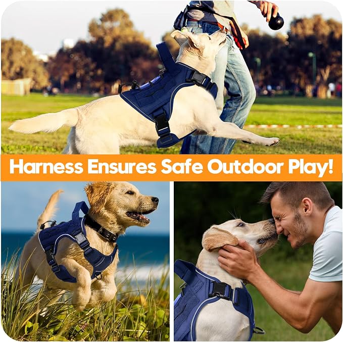 Heavy-Duty Tactical Dog Harness for Large Dogs, No Pull Adjustable Reflective Pet Vest with Molle System, K9 Military-Grade Control for Service Training, Outdoor & 10+ Breeds, Dazzling Blue, Medium - Image 6