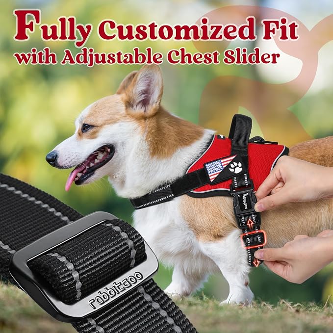 rabbitgoo No Pull No Choke Pet Vest, Adjustable Pet Harness with Molle | Medium Sized Dog Harness, Reflective, Easy Wearing with One Buckle for Walking, Training, Red, M - Image 6