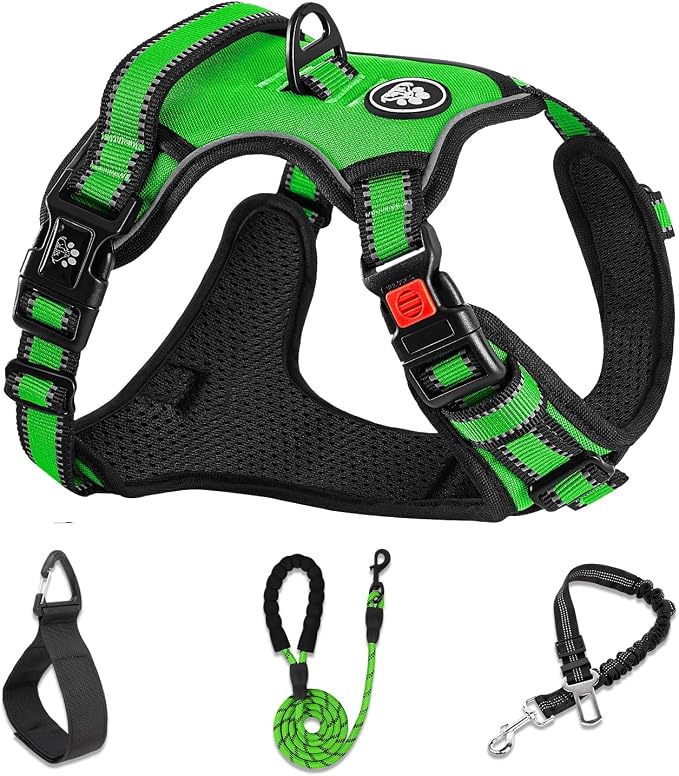 NESTROAD No Pull Dog Harness,Adjustable Oxford Dog Vest Harness with Leash,Reflective No-Choke Pet Harness with Easy Control Soft Handle for Small Dogs(Small,FluorescentGreen) by NESTROAD