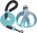 haapaw Dog Harness with Leash Set, No Pull Adjustable Reflective Step-in Puppy Harness with Thickened Padded Vest for Extra-Small/Small Medium Dogs by haapaw