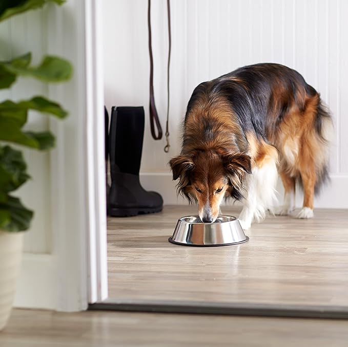 Amazon Basics Stainless Steel Non-Skid Dog Bowl, Dishwasher Safe, Rust Resistant, Single - Image 5