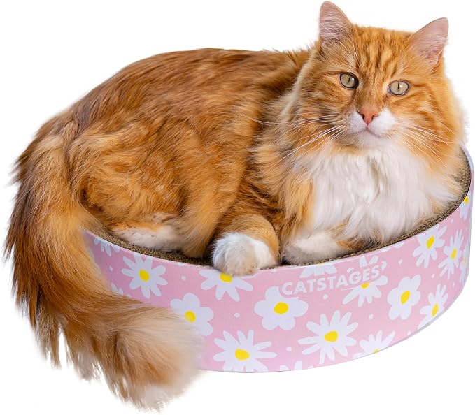 Catstages Scratch & Snuggle 2-in-1 Cat Scratcher & Lounger, Corrugated Cardboard Scratching Pad, Bowl-Shaped Design for Kittens & Indoor Cats up to 15 lbs, 16" by Catstages