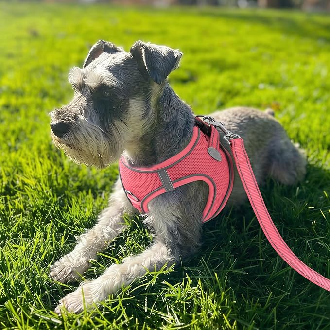 Joytale Step-in Dog Harness, Soft Breathable Mesh, Pink XL | Adjustable Fit for Small Dogs, Easy Step-in with Secure Fastener, Even Chest Pressure, Reflective For Night Safety, Washable - Image 2