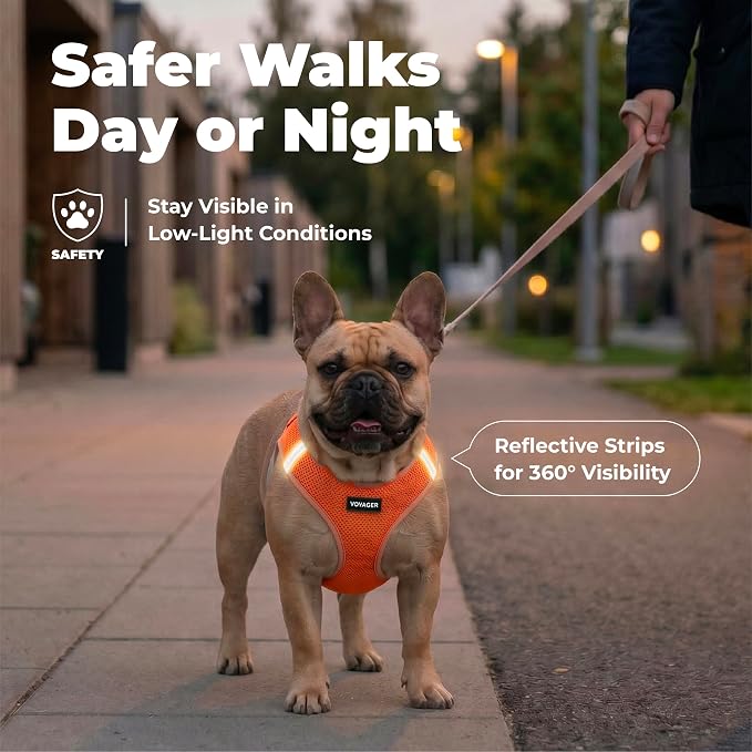 Voyager Step-in Air Dog Vest Harness - Orange, XXX-Small | 11 - 12" in Chest, Reflective Bands, All Weather Breathable Air Mesh, Cats Compatible, Lightweight, Fast Drying - Image 4