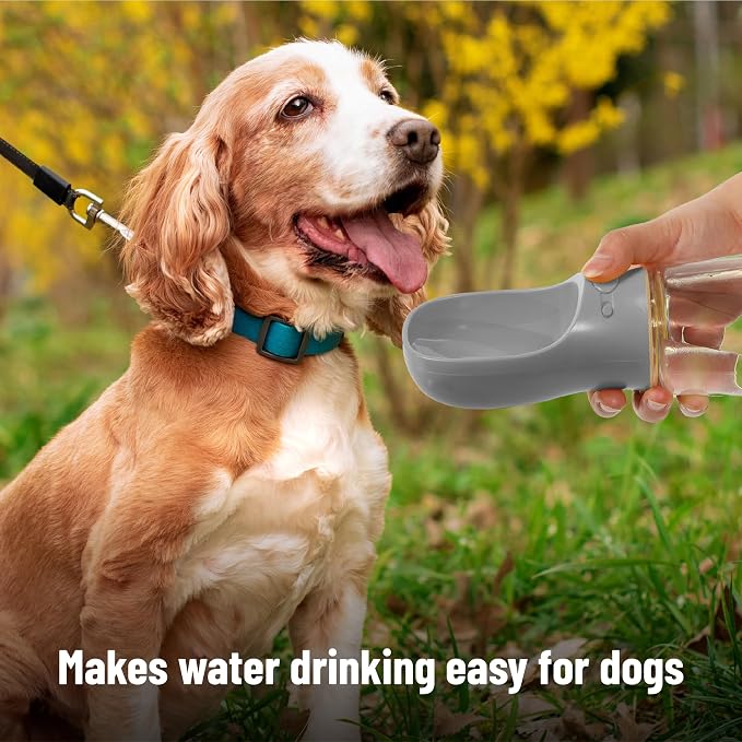 Mr. Pen- Portable Dog Water Bottle, 19 oz, Large | Leak Proof Puppy Water Dispenser with Drinking Feeder for Pets, Outdoor Walking, Hiking, Travel, Not Dishwasher Safe - Image 4