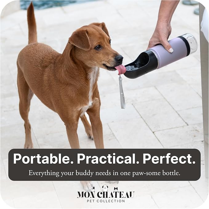 Mon Chateau 14oz Portable Dog Water Bottle with 4 oz Snack Storage, Double Walled Stainless Steel Body, Leak-Proof, Dishwasher Safe Pet Travel Bottle for Dogs, Cats & Outdoor Use, Mint Green | 4oz Snack Compartment, Double Walled Stainless Steel, Leak-... - Image 8