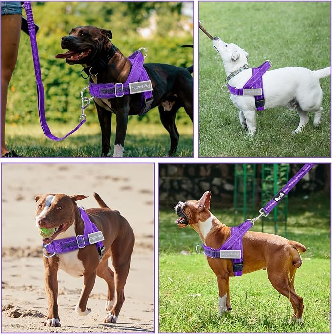 SlowTon No Pull Dog Harness with Front Clip - Heavy Duty, Soft Padded | Neck & Chest Adjustable, Tactical Pet Vest and Leash Set for Large Medium Sized Dogs, for Easy Walk & Training, Purple S - Image 8