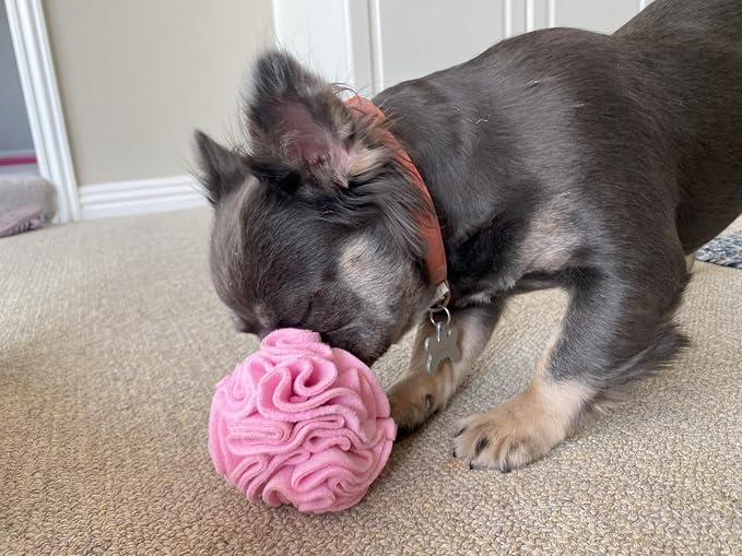 Glory To Dog Puppy/Small Breed Snuffle Dog Puzzle Ball Toy Pink Extra Small | Interactive fleece snuffleball hides treats at variable depths. Puzzle engages smell & foraging Machine washable 2.5" - Image 6