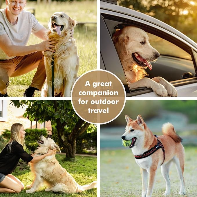 Collapsible Dog Bowls, Travel Food and Water Double Bowl for Cats & Dogs, 2-in-1 Portable BPA-Free Feeding Solution, Perfect for Traveling, Camping & Walking (L/ 100oz) - Image 8