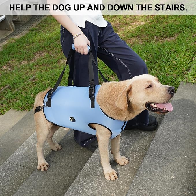 Coodeo Dog Lift Harness, Pet Support & Rehabilitation Sling Lift Adjustable Padded Breathable Straps for Old, Disabled, Joint Injuries, Arthritis, Loss of Stability Dogs Walk (Blue, 2XL) - Image 2