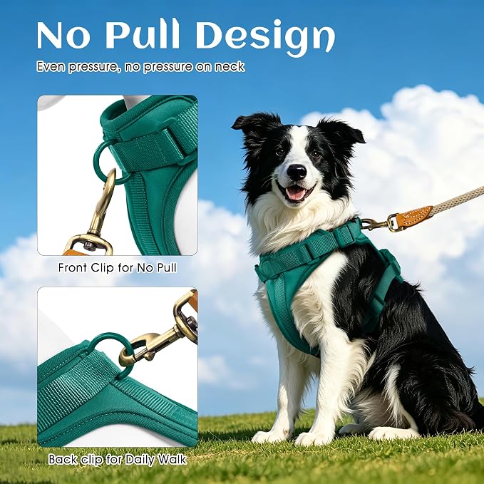 Wisedog Lightweight No Pull Dog Harness, Emerald Green, Small | Air Mesh, 3 Clips, Adjustable, No Choke Design, Ideal for Walking Training - Image 4